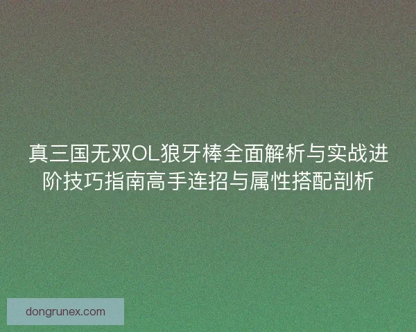 真三国无双OL狼牙棒全面解析与实战进阶技巧指南高手连招与属性搭配剖析